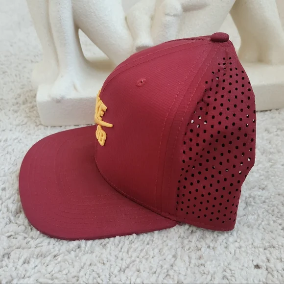 Nike SB Maroon and Yellow Cap - Picture 2 of 6